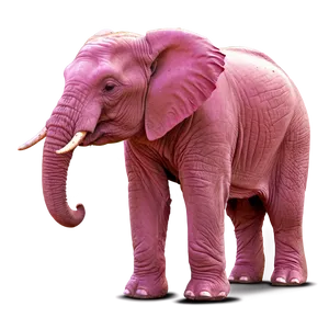 Shy Pink Elephant Png 06292024 PNG image