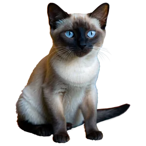 Siamese Cat A PNG image