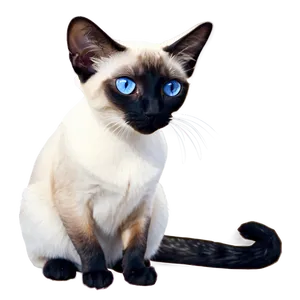 Siamese Cat Png 05232024 PNG image