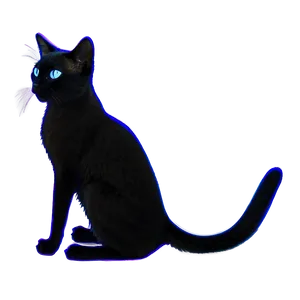 Siamese Cat Silhouette PNG Exq
