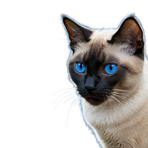 Siamese Cat With Mismatched Eyes PNG Uup78 PNG