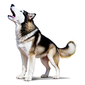 Siberian Husky Howling PNG 49