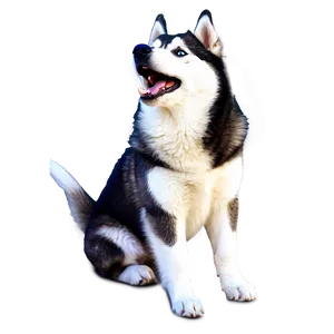Siberian Husky Howling PNG Hcc PNG