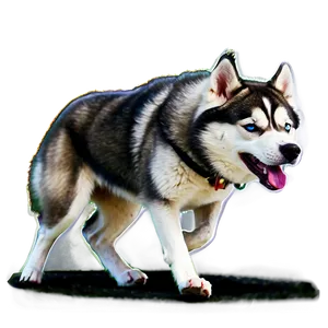 Siberian Husky In Action PNG 87