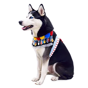 Siberian Husky In Costume Png 06252024 PNG image