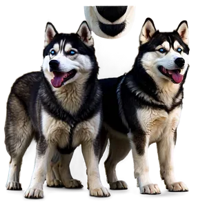 Siberian Husky Pack Png Fuq PNG image