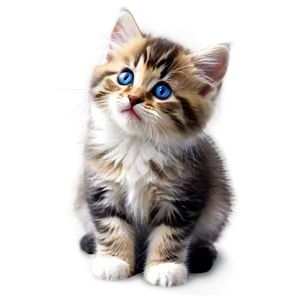 Siberian Kitten PNG 05232024 PNG