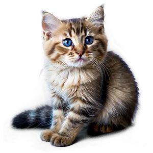 Siberian Kitten PNG Sru85 PNG