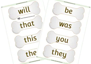Sight Words Educational Materials PNG