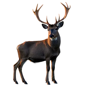 Silhouette Buck At Dusk PNG 06252024 PNG
