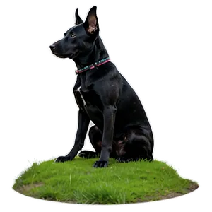 Silhouette Dogs PNG 05242024