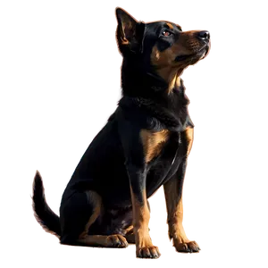 Silhouette Dogs PNG Lku95