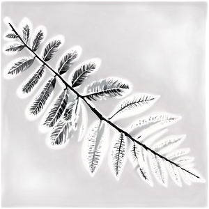 Silhouette Leaves PNG 79