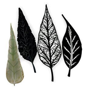 Silhouette Leaves PNG 80