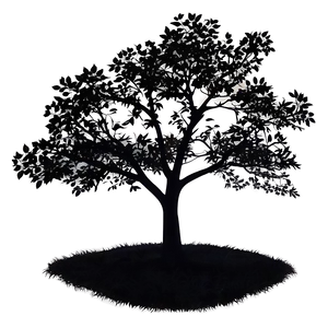 "silhouette Of A Tree At Dusk PNG" 04302024