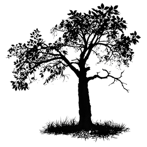 "silhouette Of A Tree At Dusk PNG" Emk41