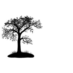 "silhouette Of A Tree At Dusk PNG" Scu47