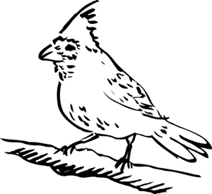 Silhouette_of_ Bird_in_ Darkness PNG image