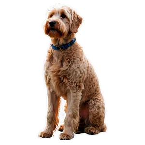 Silhouette Of Labradoodle Png 18 PNG image