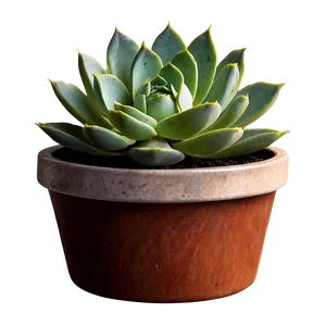 Silhouette Succulent Png Yxb13 PNG image