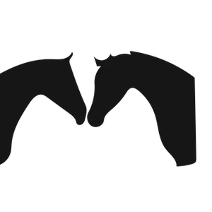 Silhouetted Bat Wings Spread