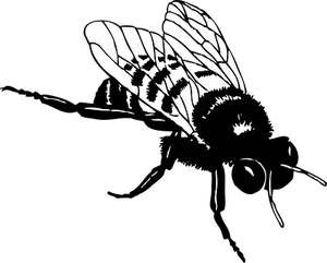 Silhouetted Bee Graphic PNG image