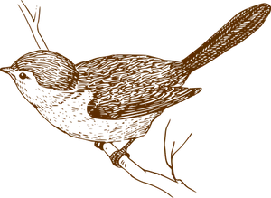 Silhouetted Bird Illustration
