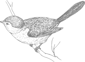 Silhouetted Bird Illustration