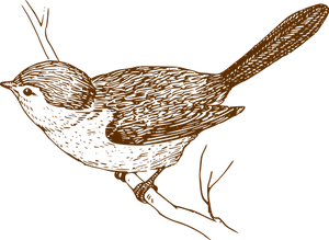 Silhouetted Bird Illustration PNG image