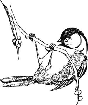 Silhouetted Bird With Flower