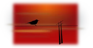 Silhouetted Birdon Wireat Sunset