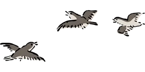 Silhouetted Birdsin Flight