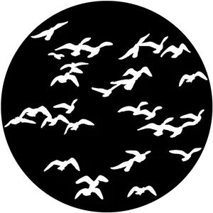 Silhouetted Birdsin Flight PNG