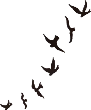 Silhouetted Birdsin Flight