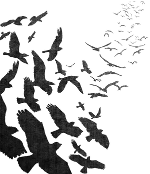 Silhouetted Birdsin Flight