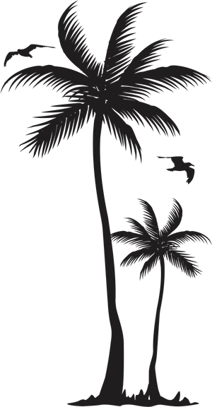 Silhouetted Coconut Trees Graphic PNG image