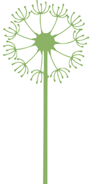 Silhouetted Dandelion Graphic PNG image