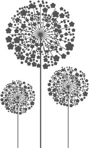 Silhouetted Dandelions Graphic PNG image