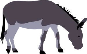Silhouetted Donkey Grazing