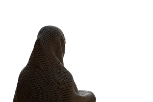 Silhouetted Figurein Mesh Covering