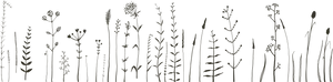 Silhouetted Floral Field Pattern