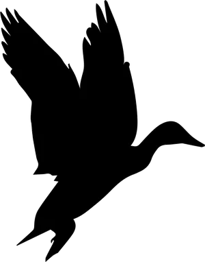 Silhouetted Flying Black Bird PNG image