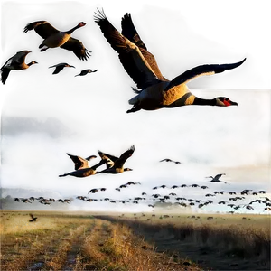 Silhouetted Geese Migration PNG 06122024