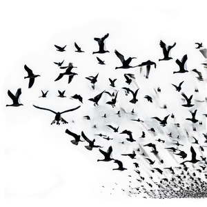 Silhouetted Geese Migration PNG 5 PNG
