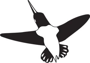 Silhouetted Hummingbird Graphic