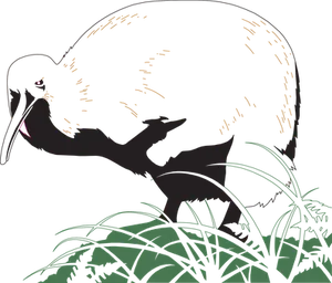 Silhouetted Kiwi Bird Nighttime