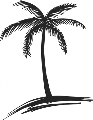 Silhouetted Palm Tree