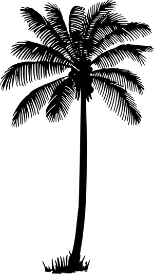 Silhouetted Palm Tree Graphic PNG image