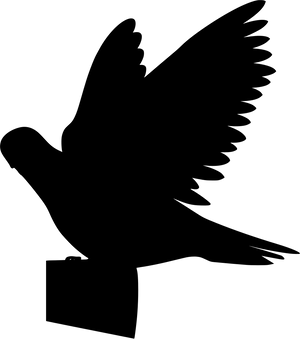 Silhouetted Pigeonin Flight PNG