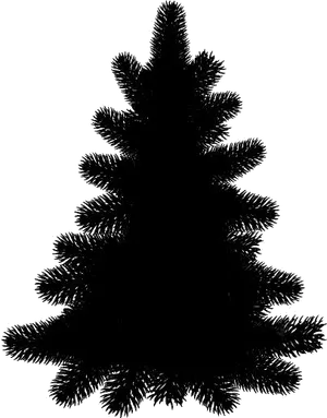 Silhouetted Pine Tree Black Background PNG